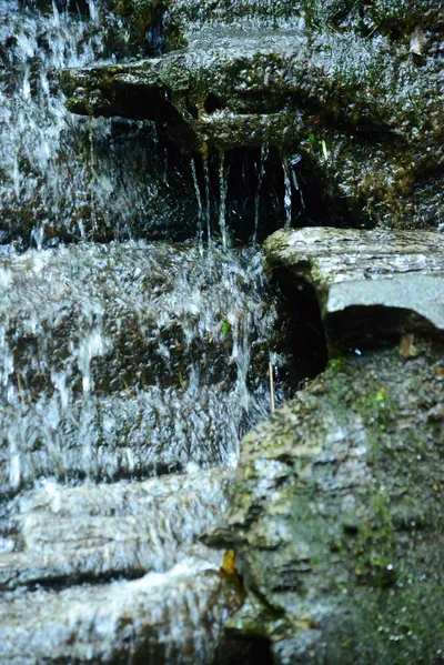 DSC_2786 (Large).JPG